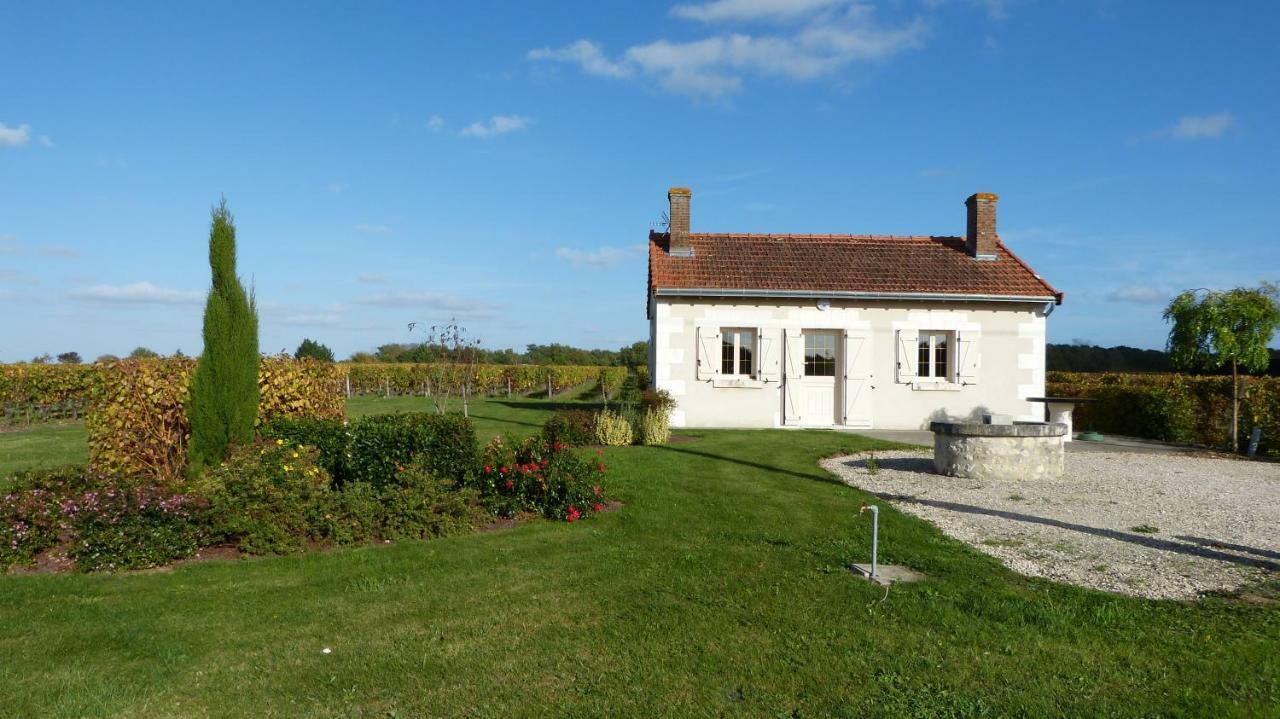 Villa L'Ecrin Au Coeur Des Vignes Saint-Georges-sur-Cher Exterior foto